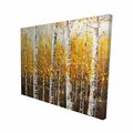 Begin Home Decor 16 x 20 in. Birches by Sunny Day-Print on Canvas 2080-1620-LA31